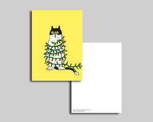 Schneeberg.Land | Postkarte | Büsi mit Lichterkette gelb