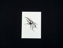 Lade das Bild in den Galerie-Viewer, Buglady | Postkarte | Hercules
