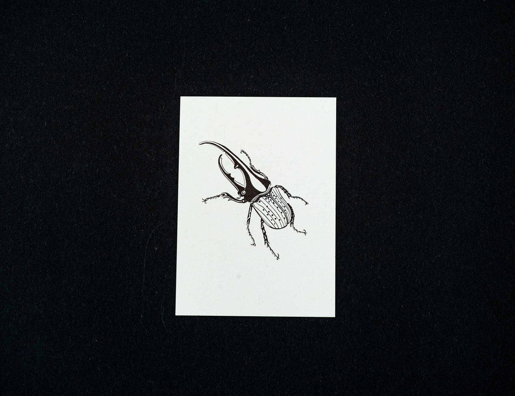 Buglady | Postkarte | Hercules