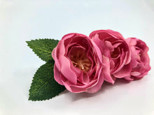 Lade das Bild in den Galerie-Viewer, Lui Luis Haarblume rosa Strauchröseli mit Blättern
