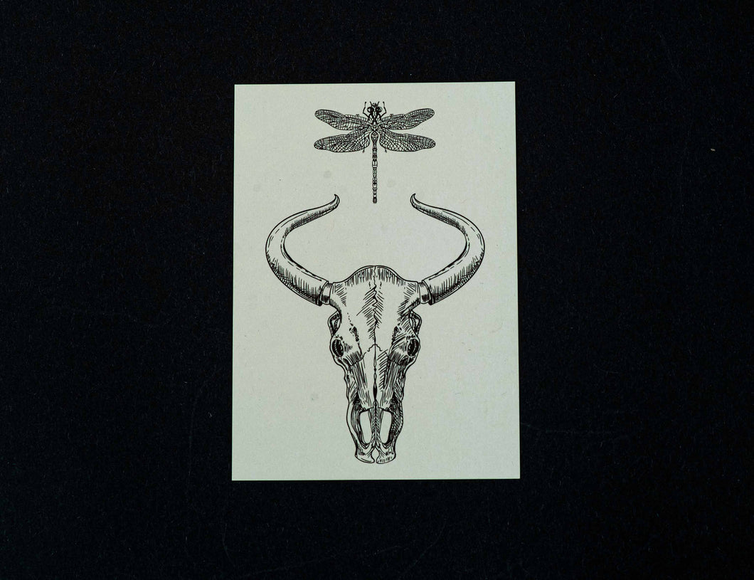 Buglady | Postkarten | Skull and Dragonfly
