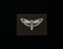Lade das Bild in den Galerie-Viewer, Buglady | Postkarten | Death&#39;s-Head Hawkmoth
