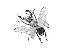Lade das Bild in den Galerie-Viewer, Buglady 10er Set  &quot;Stagbeetle&quot; Postkarten
