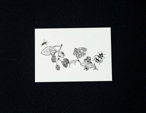 Buglady | Postkarten | Spring