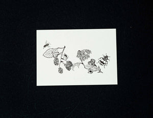 Buglady 10er Set  "Frühling" Postkarten