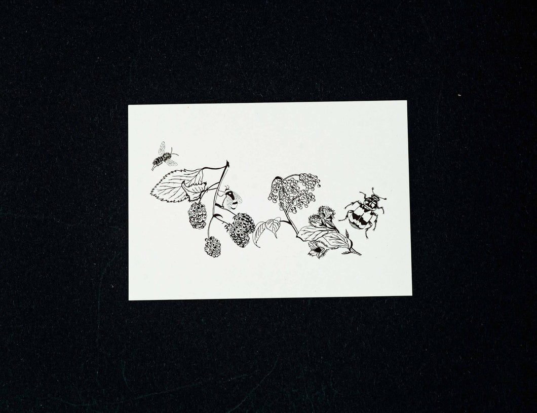 Buglady | Postkarten | Spring