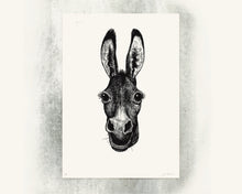Lade das Bild in den Galerie-Viewer, Jared Muralt | Poster | Esel Siebdruck

