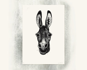 Jared Muralt | Poster | Esel Siebdruck