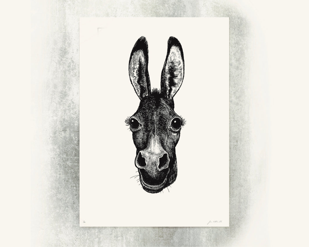 Jared Muralt | Poster | Esel Siebdruck