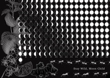 Lade das Bild in den Galerie-Viewer, Buglady Moon Calendar 2023 by BugLady
