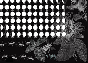 Buglady Moon Calendar 2023 by BugLady