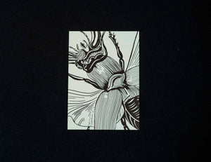 Buglady 10er Set  "Fly Away" Postkarten