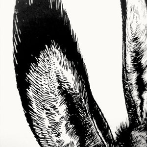 Jared Muralt | Poster | Esel Siebdruck