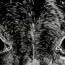 Lade das Bild in den Galerie-Viewer, Jared Muralt | Poster | Esel Siebdruck

