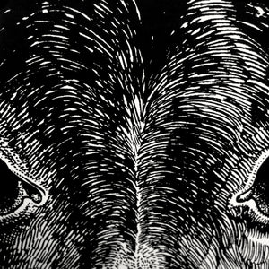 Jared Muralt | Poster | Esel Siebdruck
