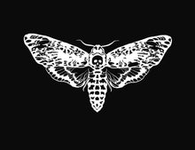 Lade das Bild in den Galerie-Viewer, Buglady | Postkarten | Death&#39;s-Head Hawkmoth
